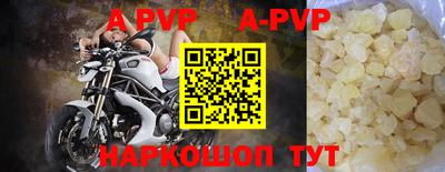 прущие грибы Новодвинск